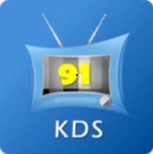 91是什么电视台直播