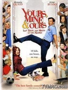 重组家庭电影,爱与挑战的交响曲